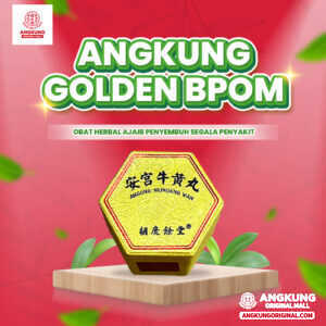 Agkung Golden BPOM Obat Stroke Cina