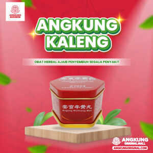 Angkung Kaleng Niu Huang Wan Obat Stroke Ringan Hingga Sedang